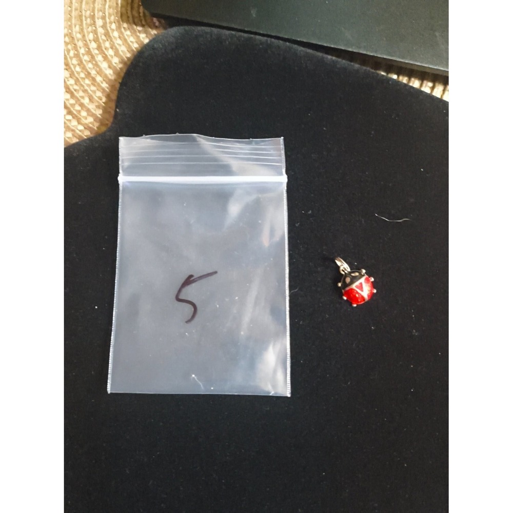 Vintage Red Black Enamel Ladybug Charm Pendant Silver Tone Insect Animal Bug